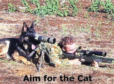 cat+sniper.jpg