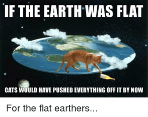 if-the-earth-was-flat-cats-would-have-pushed-everything-21413617-300x237.png