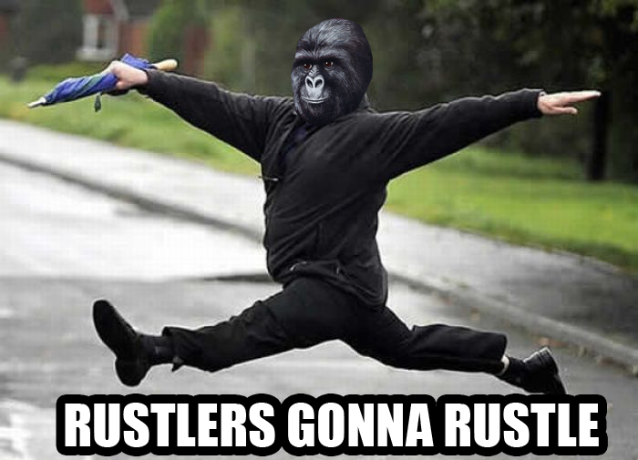 rustlers+gonna+rustle+-+haters+gonna+hate+-+rustled+jimmies.png