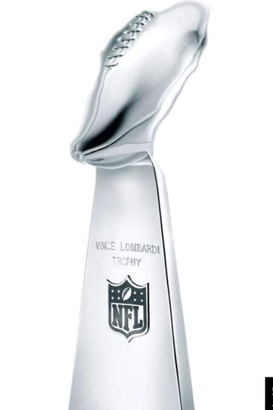 must-see-imagery-patriots-super-bowl-trophy.jpg