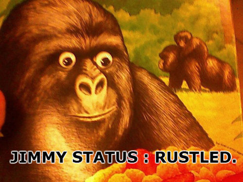 Jimmies+Rustled.png