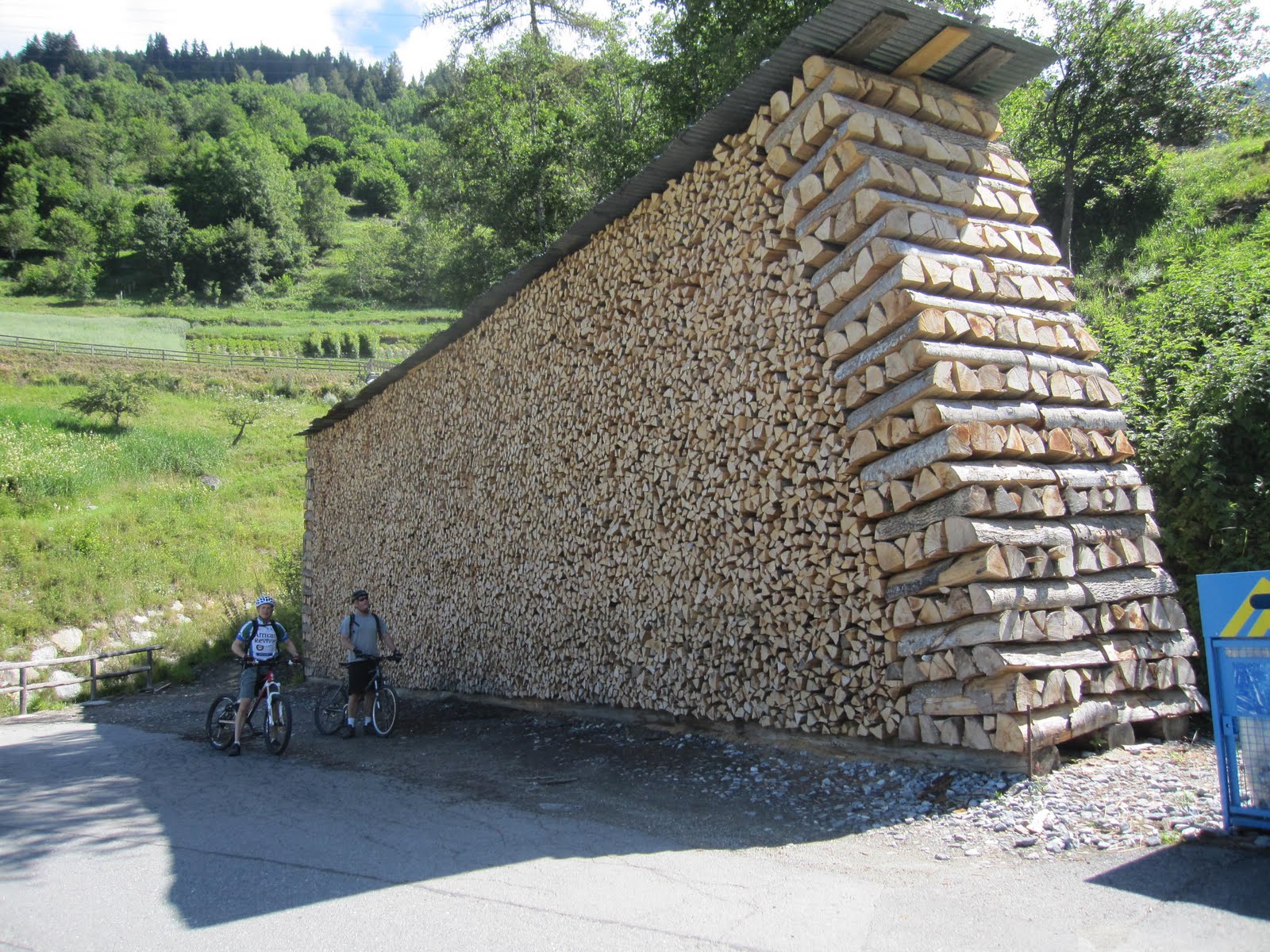 massive+wood+pile.JPG