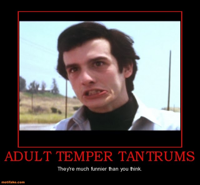 adult-temper-tantrums-angry-demotivational-posters-1317154311.jpg