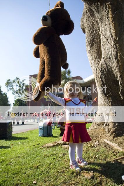 hanging-bruin-bear-fucla.jpg