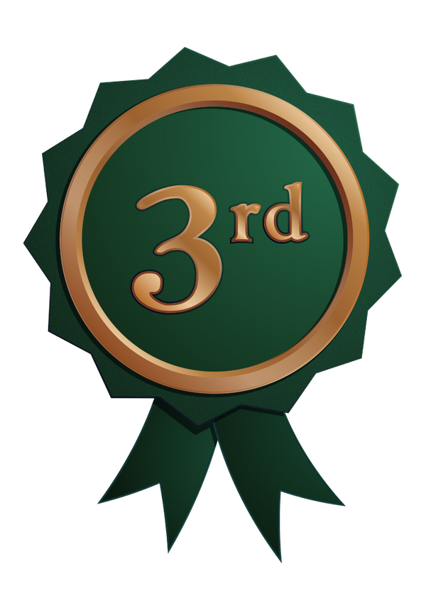 free_png_badge_3rd_place_by_ninahagn-d8r7z18.png