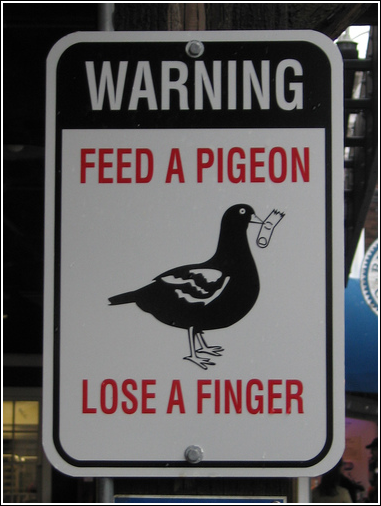 funny-pictures-warning-feed-a-pigeon-lose-a-finger.png