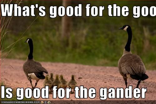 whats-good-for-the-goose-is-good-for-the-gander.jpg