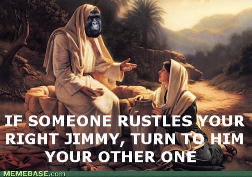 1351651726_internet-memes-these-are-my-jimmies-rustled-for-you.jpg