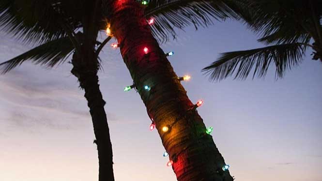 hawaiian-christmas.jpg