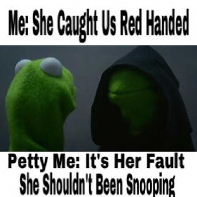 she-caught-us-red-handed-evil-kermit-says-its-her-fault-qDPPs.jpg