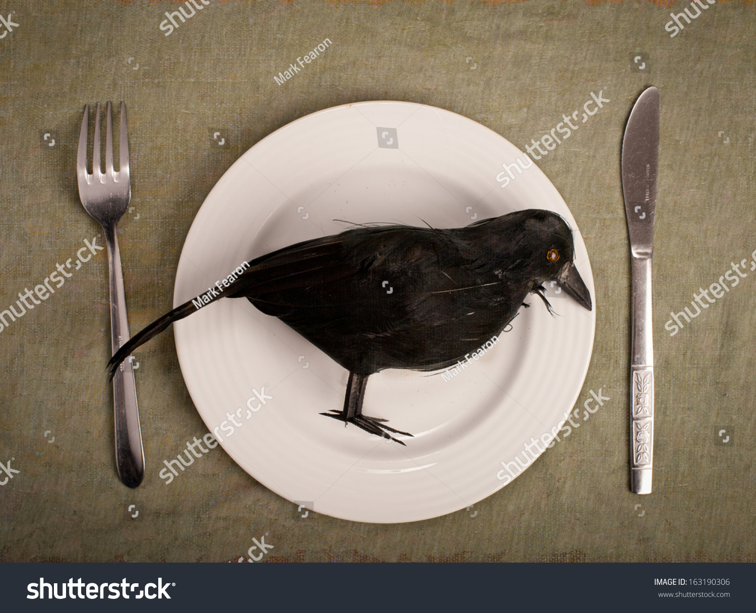 stock-photo-eating-crow-or-a-variation-on-humble-pie-163190306.jpg