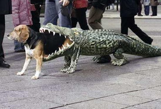 illustration-dog-alligator-suit.jpg