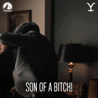 Flailing Paramount Network GIF by Yellowstone