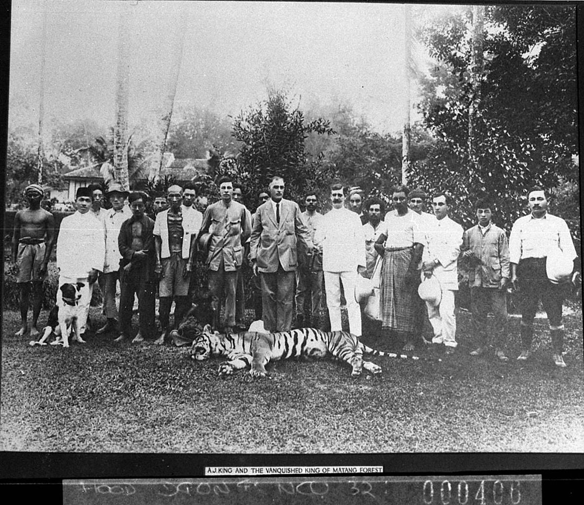 1183px-SLNSW_13648_Tiger_hunt_in_India_dead_tiger_in_foreground.jpg