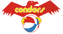 220px-PittsburghCondors.png