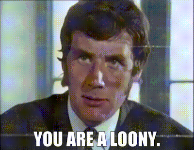 Image of YOU ARE A LOONY.