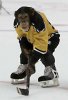 ice_hockey_monkey-701220.jpg