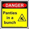 panties.jpg