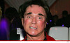 0703-roy-horn-getty-6.jpg