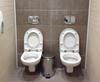 sochi-twin-toilets.jpg