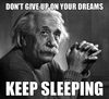 funny-Einstein-thought-dreams-sleeping.jpg
