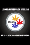 Leaked.+Pittsburgh+steelers+release+new+logo+for+this+season.jpg