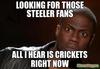 LOOKING-FOR-THOSE-STEELER-FANS-ALL-I-HEAR-IS-CRICKETS-RIGHT-NOW-meme-15374.jpg