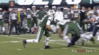 BLL33.gif