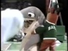 shark-humping-mascot-.gif