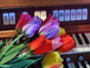 tulips on organ.png