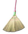 broom0106_l.jpg