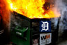 Tigers_Dumpster.jpg