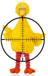 bigbird_crosshairs.png