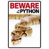 Beware%20of%20Royal%20Python%20(451x640)-500x500.jpg