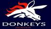 donkeys1.jpg