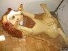 Product-Day-Anatomically-Correct-Lion-Coffee-Table.JPG