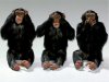 ain-t-they-the-best-monkeys-16417794-670-503.jpg