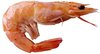 prawn-image.jpg