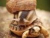 slow-the-fuck-down-240x180.jpg