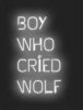 Boy Cry Wolf.jpg