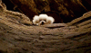 3AC59DCA-27EF-4581-BA7B-2B33F72F287D.gif