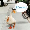 aflac.jpg