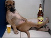Drunk-dog.jpg