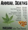 Marijuana-Safer-Than-Peanuts-infographic-weedist.jpg
