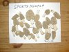 morels 4-1-12.jpg