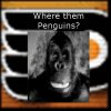 Flyers Gorilla.jpg