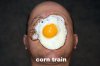 corn train.jpg