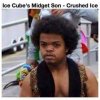 Ice-cubes-midget-son-crushed-ice.jpg