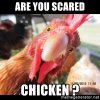 are-you-scared-chicken-.jpg