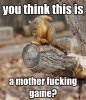 Funny-Squirrel-Meme-You-Think-This-Is-A-Mother-Fucking-Game-Photo.jpg